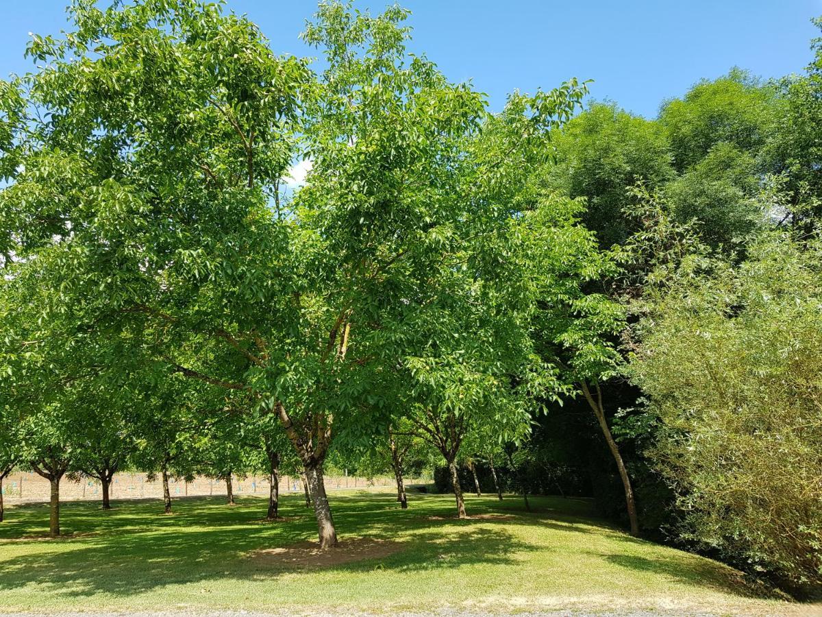 Moulin Du Soustre Bed & Breakfast Cavagnac ภายนอก รูปภาพ